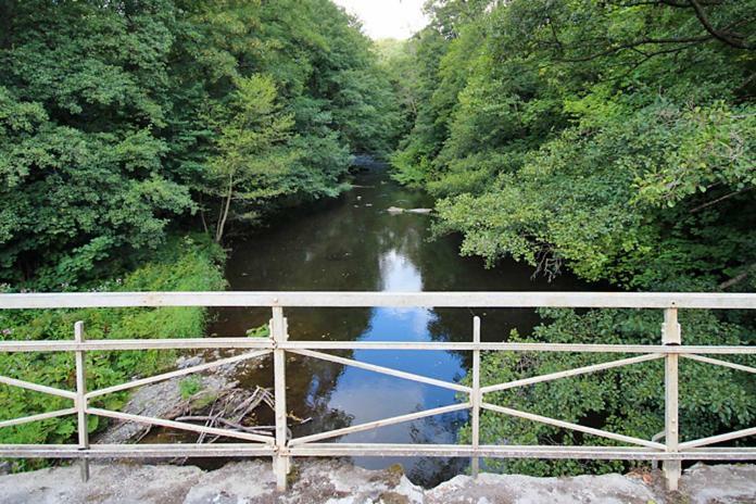 Ferienwohnungen Im Harz Altenbrak Dış mekan fotoğraf